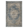 Picture of South Blue and Tan 8X10 Rug