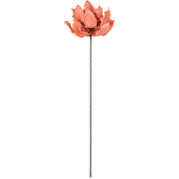 Picture of CORAL RUFFLE EDGE FLOWER
