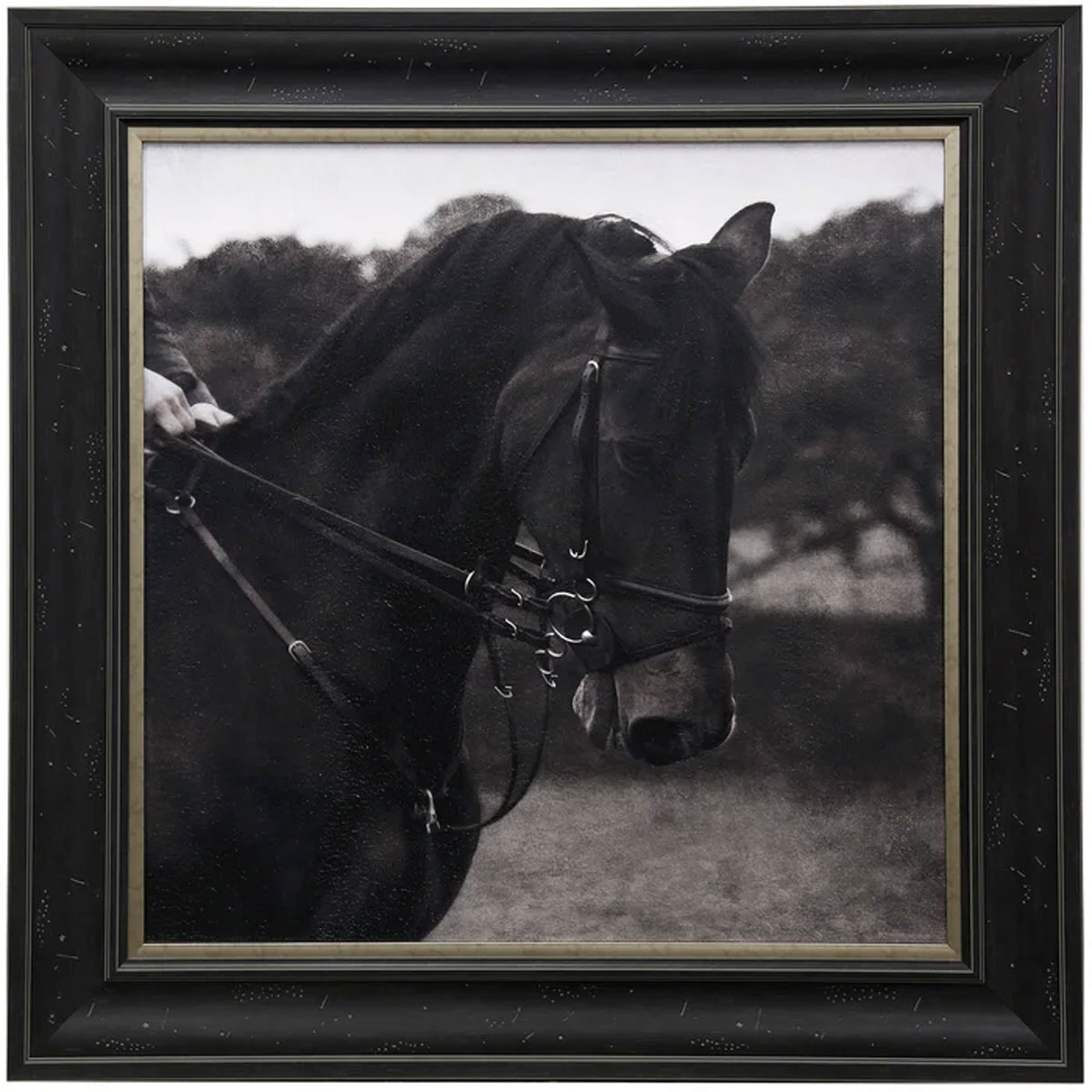Picture of DRESSAGE TEXTURED FRAMED PRINT