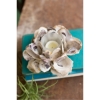 Picture of OYSTER SHELL CANDLE HOLDER