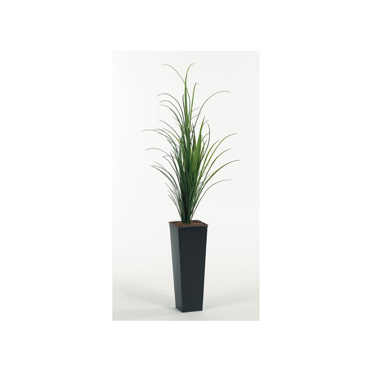 Picture of 6' GRASS IN SQUARE METAL PLANTER